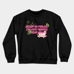 Do Not Be Fooled, I Am Very Scared Right Now Funny Crewneck Sweatshirt